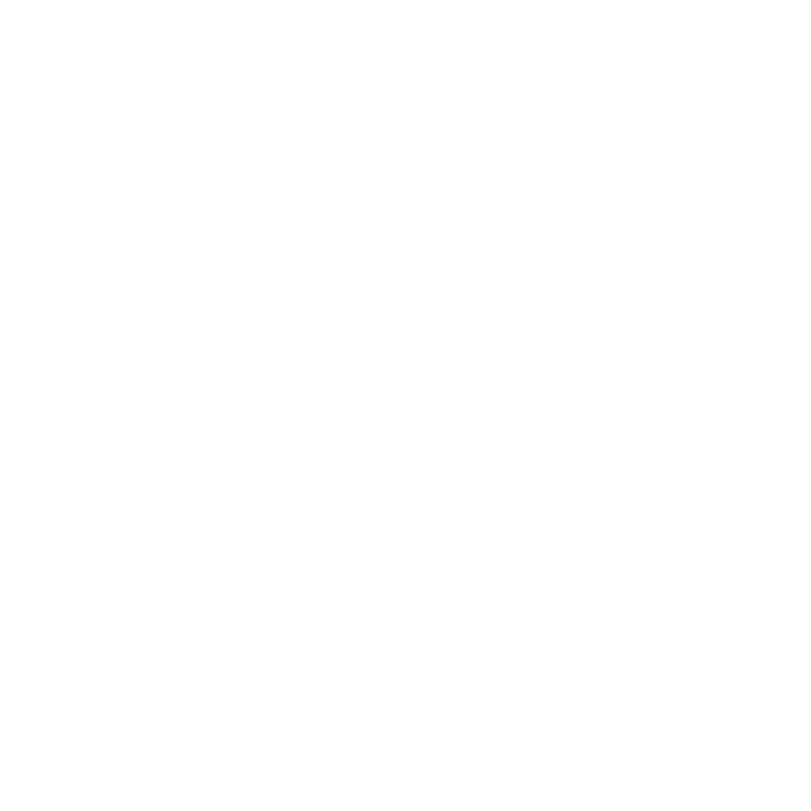 zung.ai
